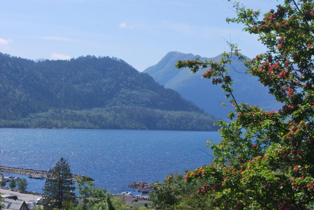 Sjoholt Camping Esterno foto