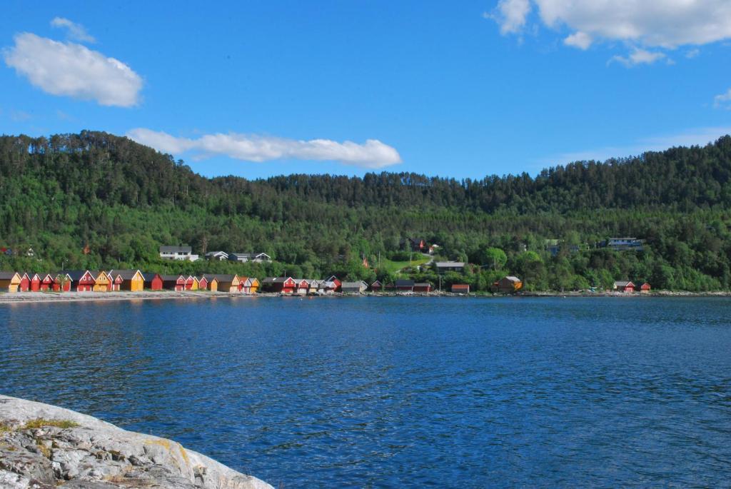 Sjoholt Camping Esterno foto