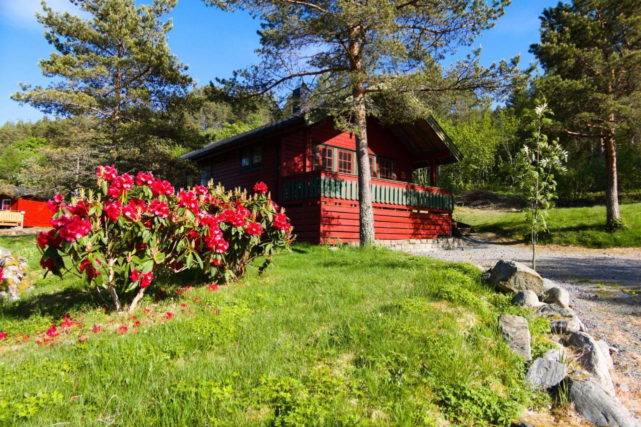 Sjoholt Camping Esterno foto
