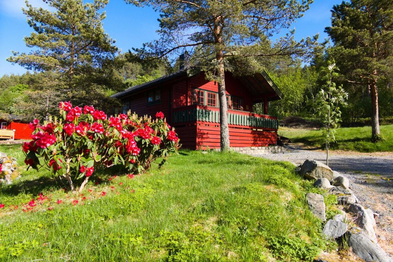 Sjoholt Camping Villa Esterno foto